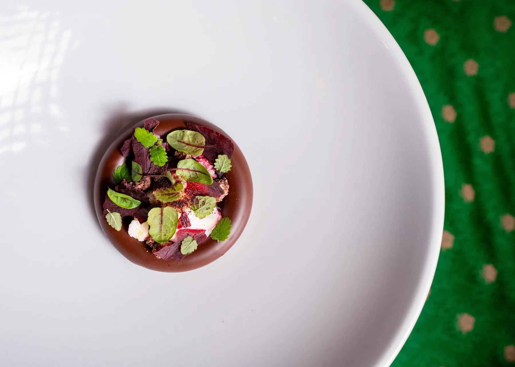 Chocolate dome dessert with red leaves and fresh herbs